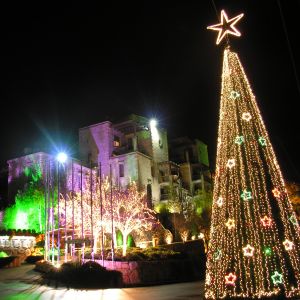 Gece Noel Ağacı