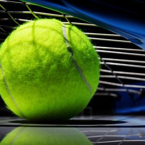 Canlı Tenis Topu Yakın Çekim