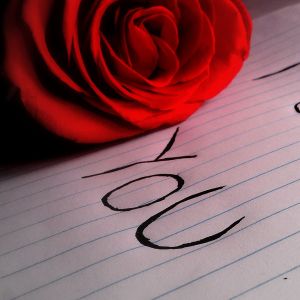 Kırmızı Gül ve Sen